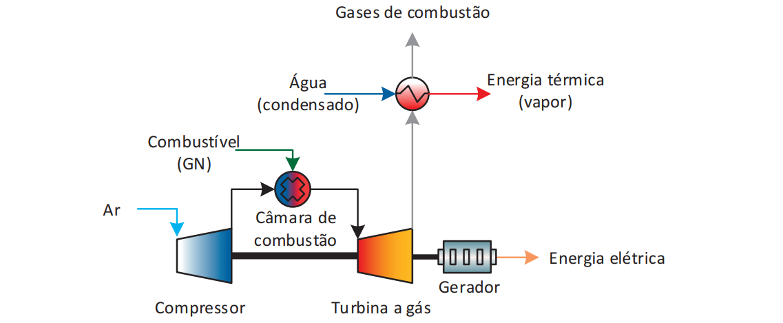 Figura 5.4