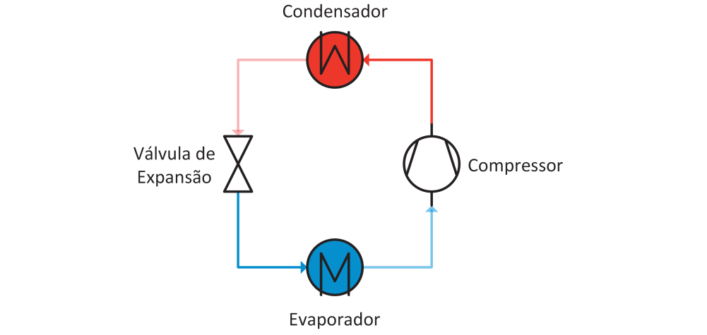 Figura 6.5